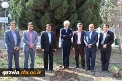 شرکت سرپرست ،اساتیدوکارکنان دانشگاه فرهنگیان استان قزوین درآیین درختکاری 3