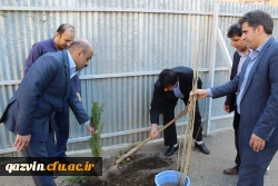 شرکت سرپرست ،اساتیدوکارکنان دانشگاه فرهنگیان استان قزوین درآیین درختکاری 4