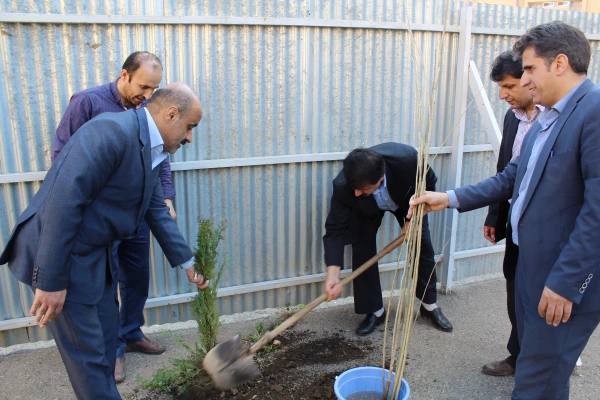 شرکت سرپرست ،اساتیدوکارکنان دانشگاه فرهنگیان استان قزوین درآیین درختکاری 4