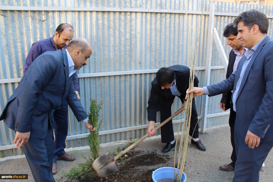 شرکت سرپرست ،اساتیدوکارکنان دانشگاه فرهنگیان استان قزوین درآیین درختکاری 4