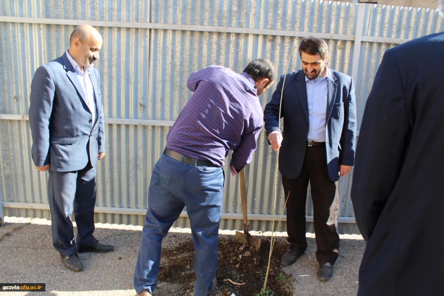 شرکت سرپرست ،اساتیدوکارکنان دانشگاه فرهنگیان استان قزوین درآیین درختکاری 5