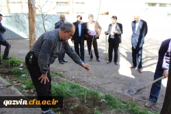شرکت سرپرست ،اساتیدوکارکنان دانشگاه فرهنگیان استان قزوین درآیین درختکاری 6