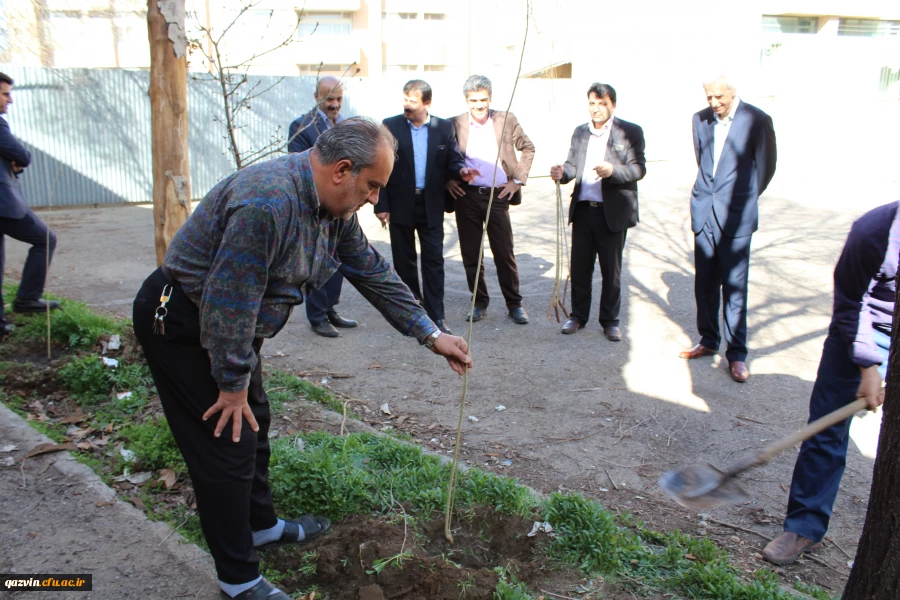 شرکت سرپرست ،اساتیدوکارکنان دانشگاه فرهنگیان استان قزوین درآیین درختکاری 6