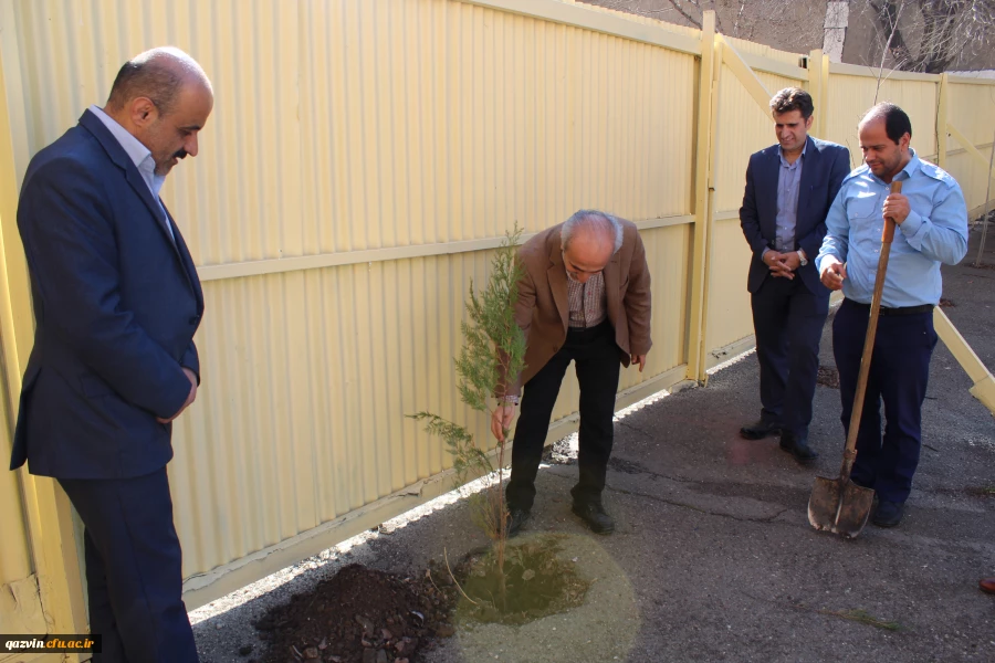 شرکت سرپرست ،اساتیدوکارکنان دانشگاه فرهنگیان استان قزوین درآیین درختکاری 10