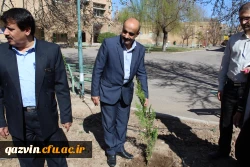 شرکت سرپرست ،اساتیدوکارکنان دانشگاه فرهنگیان استان قزوین درآیین درختکاری 9