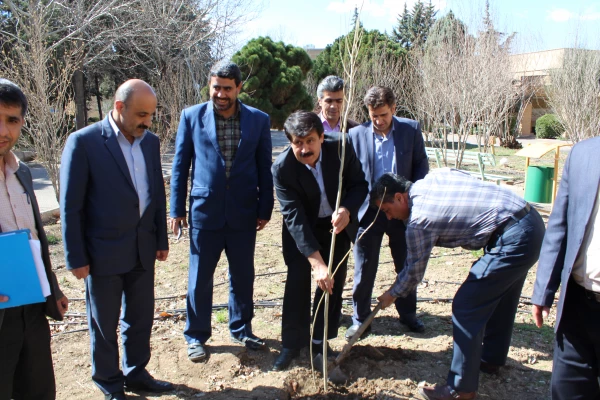 شرکت سرپرست ،اساتیدوکارکنان دانشگاه فرهنگیان استان قزوین درآیین درختکاری 8