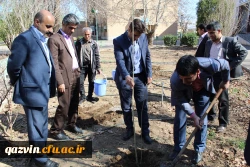 شرکت سرپرست ،اساتیدوکارکنان دانشگاه فرهنگیان استان قزوین درآیین درختکاری 7