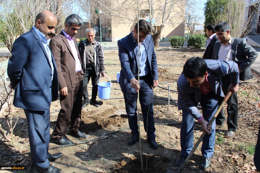 شرکت سرپرست ،اساتیدوکارکنان دانشگاه فرهنگیان استان قزوین درآیین درختکاری 7