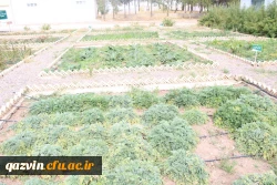 بازدید مسئولین دانشگاه فرهنگیان استان ازظرفیت ها وامکانات دانشگاه علمی وکاربردی جهادکشاورزی استان قزوین 9