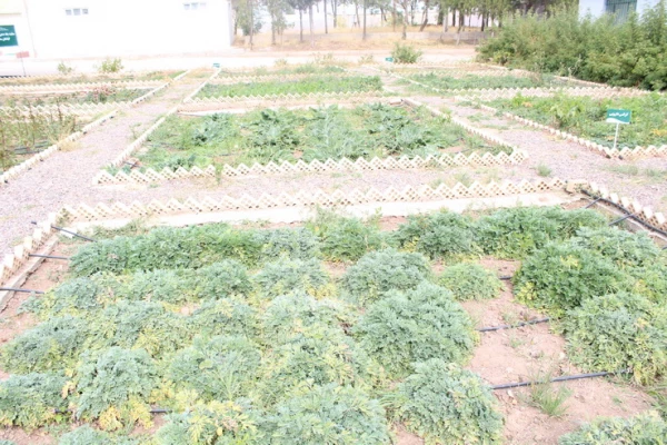 بازدید مسئولین دانشگاه فرهنگیان استان ازظرفیت ها وامکانات دانشگاه علمی وکاربردی جهادکشاورزی استان قزوین 9