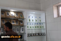 بازدید مسئولین دانشگاه فرهنگیان استان ازظرفیت ها وامکانات دانشگاه علمی وکاربردی جهادکشاورزی استان قزوین 11