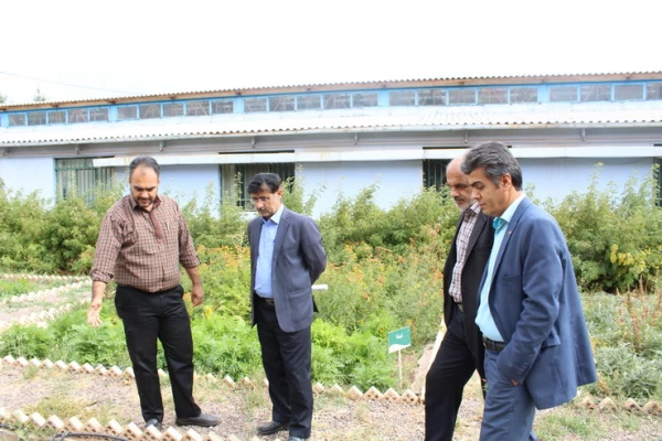 بازدید مسئولین دانشگاه فرهنگیان استان ازظرفیت ها وامکانات دانشگاه علمی وکاربردی جهادکشاورزی استان قزوین 13