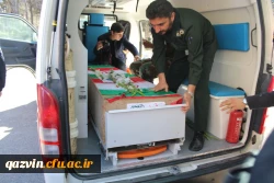 استقبال ووداع باشکوه وعاشقانه اساتید کارکنان ودانشجویان دانشگاه فرهنگیان استان قزوین با سردارشهید مدافع حرم حمیدمحمدرضایی 17