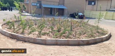 بهینه سازی فضای سبز پردیس بنت الهدی صدر قزوین با همکاری شهرداری
