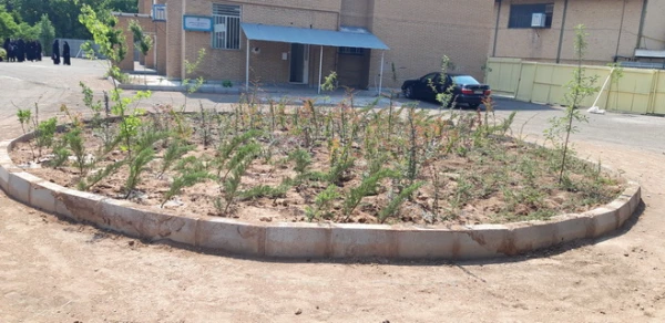 بهینه سازی فضای سبز پردیس بنت الهدی صدر قزوین با همکاری شهرداری 2