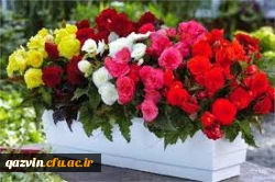 باتبریک آغاز سال تحصیلی جدیدمقدم استادان ارجمند ودانشجو معلمان عزیز رابه بوستان علم ودانش گرامی می داریم. 2