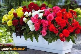 باتبریک آغاز سال تحصیلی جدیدمقدم استادان ارجمند ودانشجو معلمان عزیز رابه بوستان علم ودانش گرامی می داریم. 2