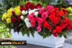 با تبریک آغاز سال تحصیلی جدید مقدم استادان ارجمند و دانشجو معلمان عزیز را به بوستان علم و دانش گرامی می داریم. 2