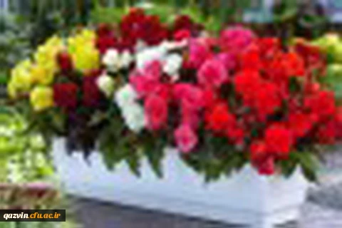 با تبریک آغاز سال تحصیلی جدید مقدم استادان ارجمند و دانشجو معلمان عزیز را به بوستان علم و دانش گرامی می داریم. 2