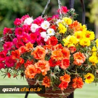 با تبریک آغاز سال تحصیلی جدید مقدم استادان ارجمند و دانشجو معلمان عزیز را به بوستان علم و دانش گرامی می داریم. 2