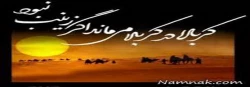 سالروز وفات قهرمان دشت کربلا حضرت زینب(س)را به عموم شیعیان جهان تسلیت می گوئیم. 2