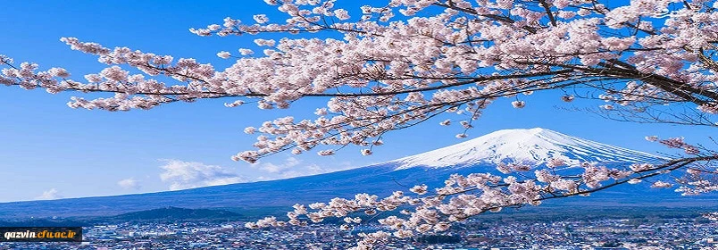 درآستانه بهار روح افزا فرارسیدن عید سعید نوروز رابه تمامی ملت شریف ایران تبریک عرض نموده وسالی توام با سلامتی،سعادت وموفقیت برای همگان آرزومندیم. 2