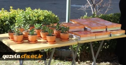 مراسم بزرگداشت مقام مادر و زن از دریچه دوربین 15