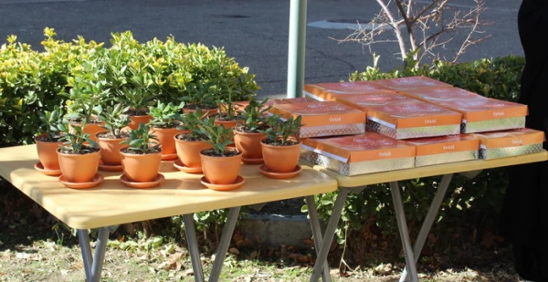 مراسم بزرگداشت مقام مادر و زن از دریچه دوربین 15