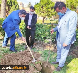 گرامیداشت روز درختکاری به روایت تصویر 2