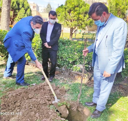 گرامیداشت روز درختکاری به روایت تصویر 2