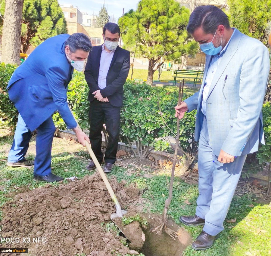 گرامیداشت روز درختکاری به روایت تصویر 2