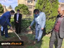 گرامیداشت روز درختکاری به روایت تصویر 3