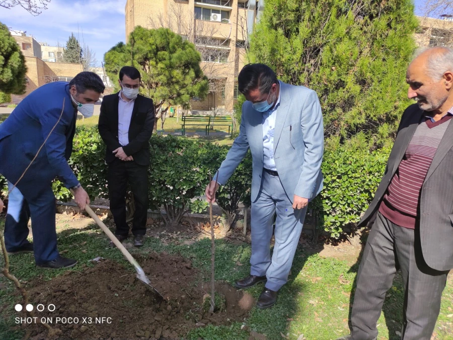 گرامیداشت روز درختکاری به روایت تصویر 3