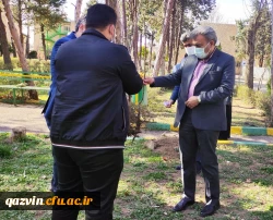 گرامیداشت روز درختکاری به روایت تصویر 4