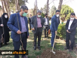 گرامیداشت روز درختکاری به روایت تصویر 5
