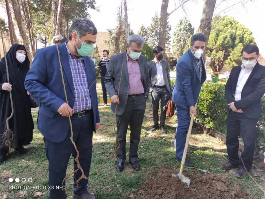 گرامیداشت روز درختکاری به روایت تصویر 5