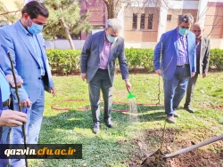 گرامیداشت روز درختکاری به روایت تصویر 6