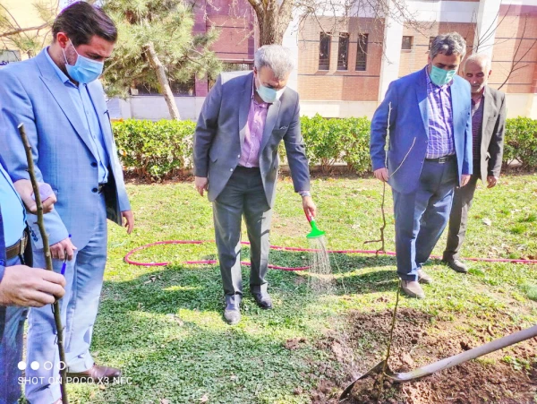 گرامیداشت روز درختکاری به روایت تصویر 6