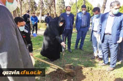 گرامیداشت روز درختکاری به روایت تصویر 7