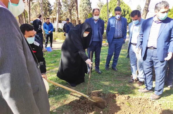 گرامیداشت روز درختکاری به روایت تصویر 7