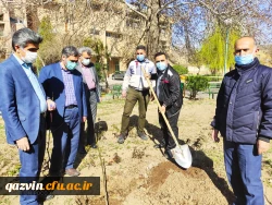 گرامیداشت روز درختکاری به روایت تصویر 8