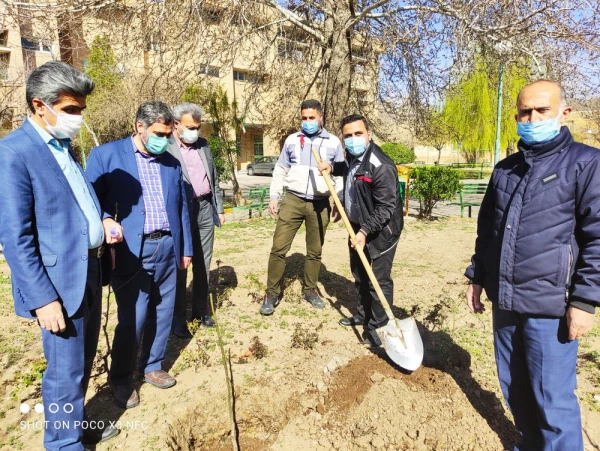 گرامیداشت روز درختکاری به روایت تصویر 8