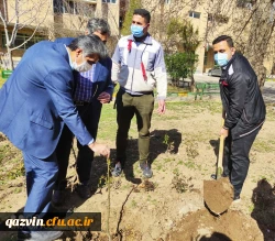 گرامیداشت روز درختکاری به روایت تصویر 9