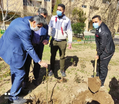 گرامیداشت روز درختکاری به روایت تصویر 9