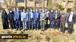 گرامیداشت روز درختکاری به روایت تصویر 10