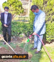 گرامیداشت روز درختکاری به روایت تصویر 11