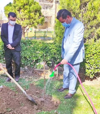 گرامیداشت روز درختکاری به روایت تصویر 11