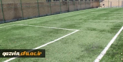 زمین چمن مصنوعی 3