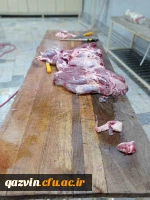 طبخ و توزیع 2000 پرس غذای گرم بین نیازمندان به همت بسیج دانشجویی دانشگاه فرهنگیان استان قزوین 7