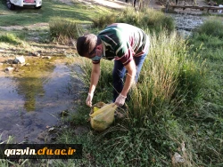 اجرای برنامه پاکسازی طبیعت از زباله 4